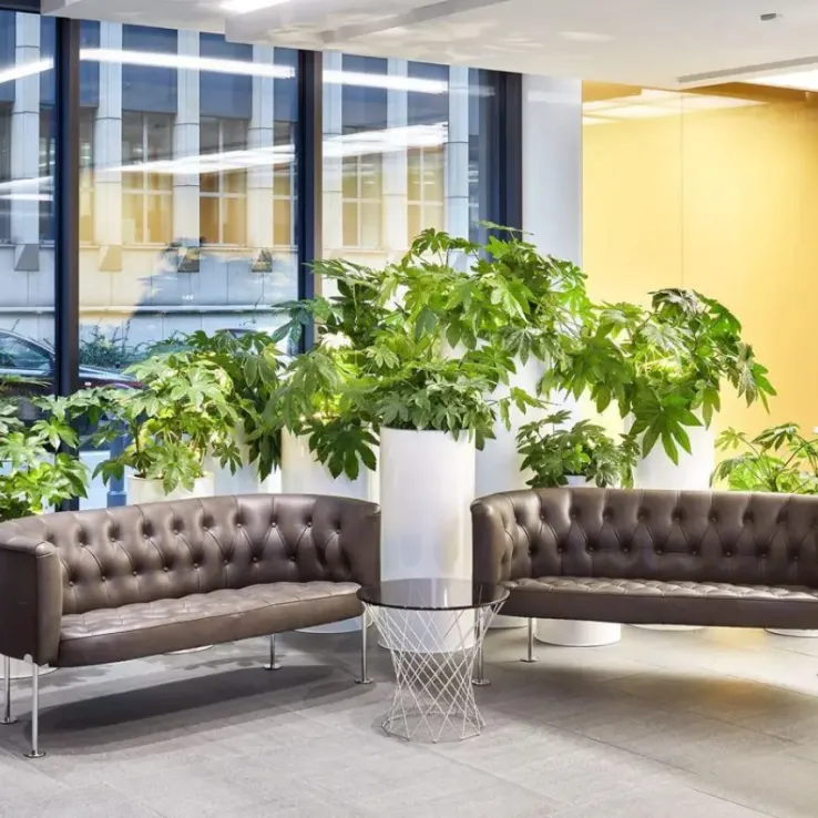 Astoria Premium Offices