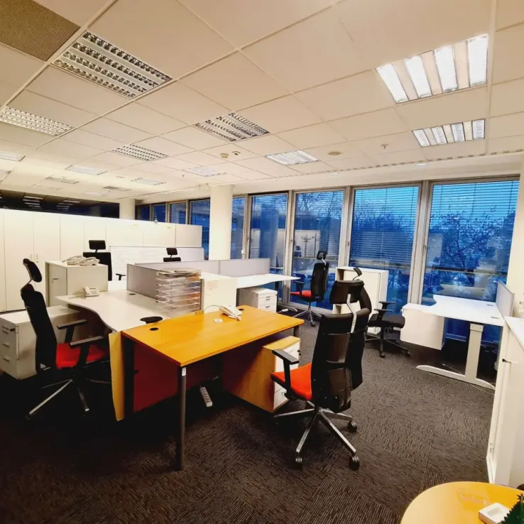 Saski Park Saski Park