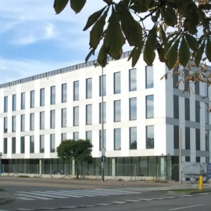 Lobos Office Lobos Office