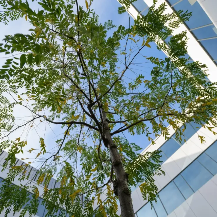 The Park Wrocław II The Park Wrocław II