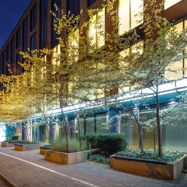 Nowa Arkońska A1 Nowa Arkońska A1