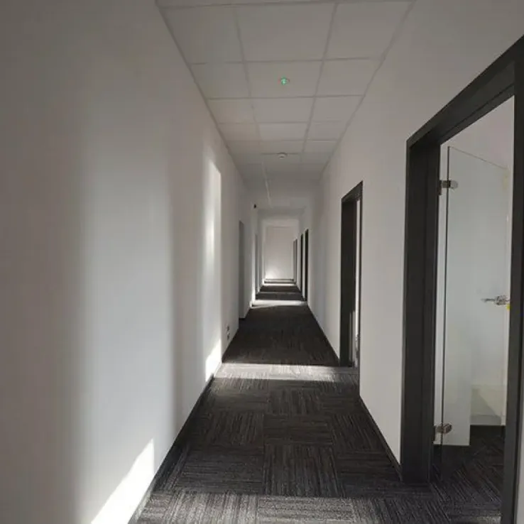 Baildona 66 Baildona 66