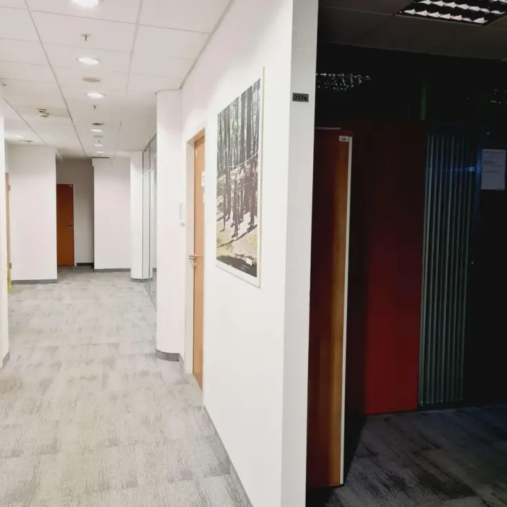 Saski Park Saski Park