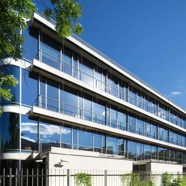 Wolf Nullo Wolf Nullo