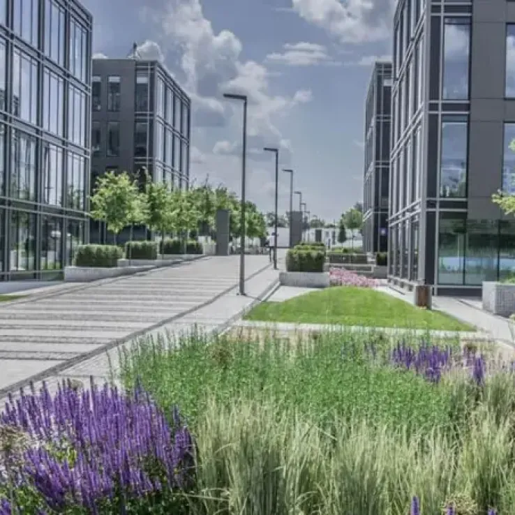 The Park B1 The Park B1