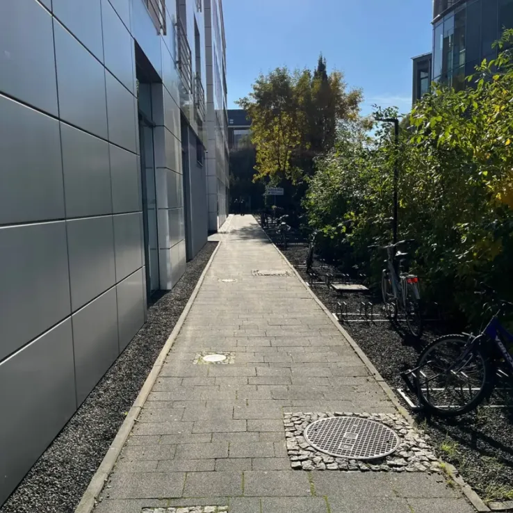 Conrada 37 Conrada 37