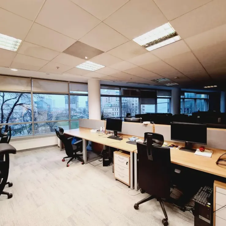 Saski Park Saski Park