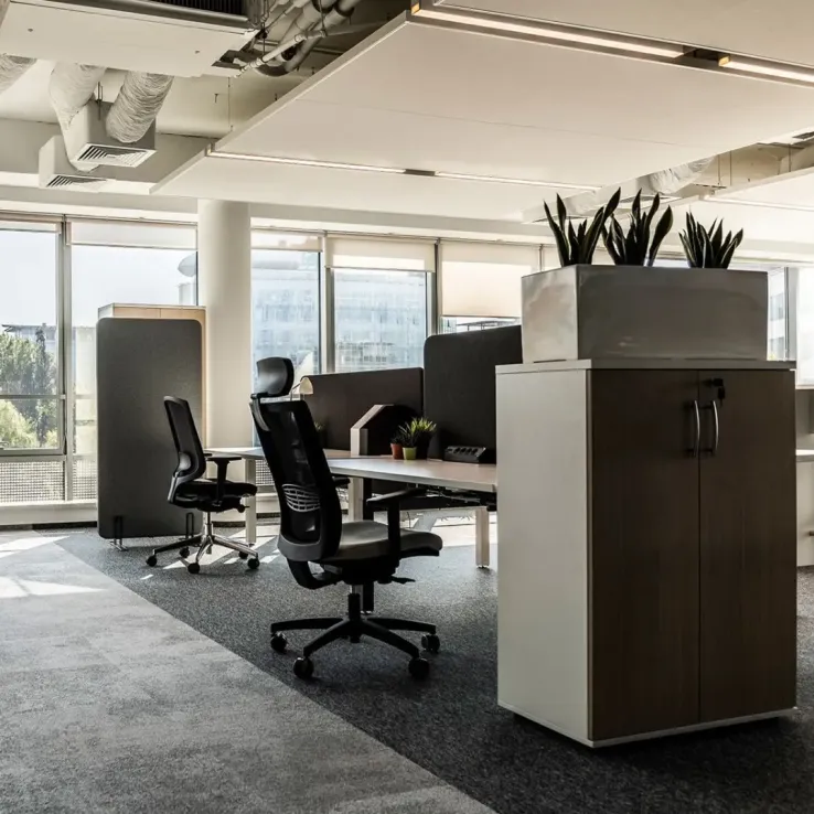 Trinity One Trinity One