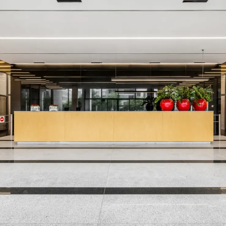 Domaniewska 45 Domaniewska 45