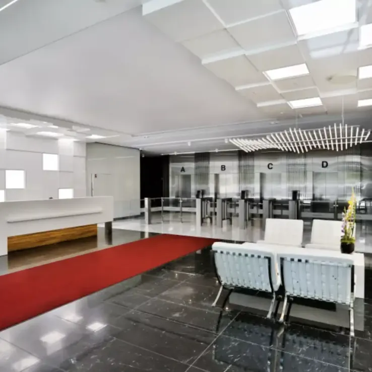 Olivia Four Olivia Four